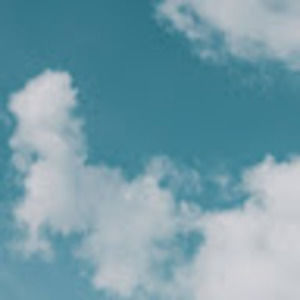 Meet your Posher, Ashton